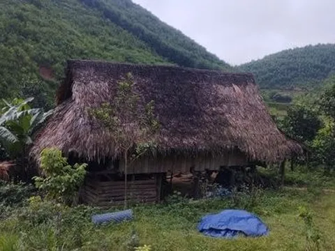 Bắt đối tượng thủ dao, lập lán trong rừng sâu để mua bán ma túy