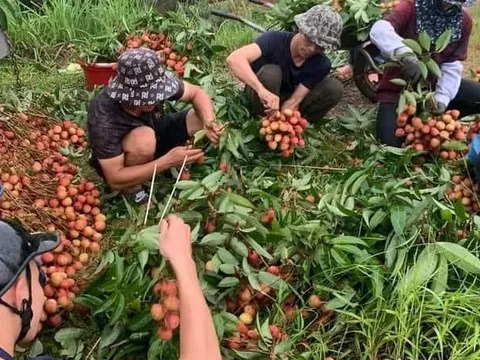 Bắc Giang còn nhiều dư địa phát triển nông nghiệp