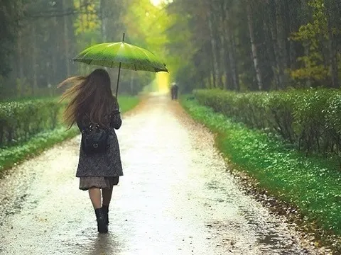 Cúi đầu tìm hạnh phúc