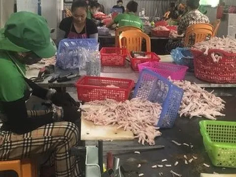 Cận cảnh 3 tấn gà đông lạnh không rõ nguồn gốc đang được sơ chế