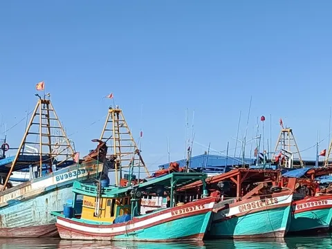 Gỡ "thẻ vàng IUU" từ đồng bộ dữ liệu hoạt động tàu cá, kiểm soát sản lượng khai thác thủy sản
