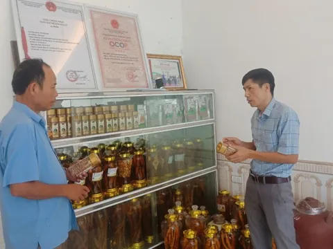 Phát triển thế mạnh sản phẩm OCOP tại Bắc Giang