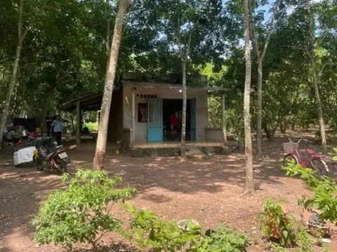 Điều tra vụ kẻ lạ đột nhập vào nhà hiếp dâm bé gái rồi cướp tài sản