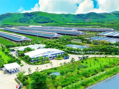 Hệ sinh thái 'Net Zero' vượt ra ngoài những trang trại xanh của Vinamilk