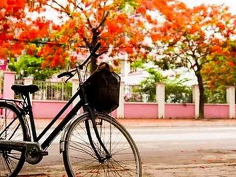 Ai chở mùa hè của em đi đâu?