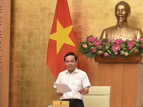 Hội đồng thẩm định thông qua Quy hoạch lâm nghiệp quốc gia