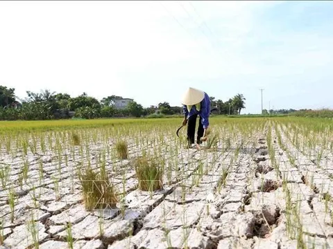 Chung tay chống sa mạc hóa và hạn hán