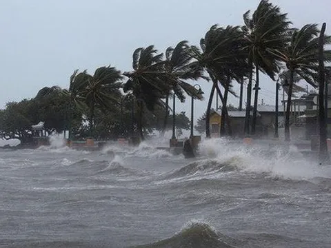 Chủ động ứng phó với vùng áp thấp có khả năng mạnh lên thành áp thấp nhiệt đới, bão