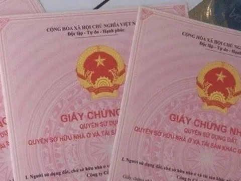 Gây thiệt hại 16,6 tỷ, cựu Giám đốc Quỹ tín dụng Nhà Bè hầu tòa