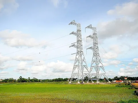 Thi công nước rút, hoàn thành dự án đường dây 500kV NMNĐ Nam Định 1 – Thanh Hóa trước 30/6