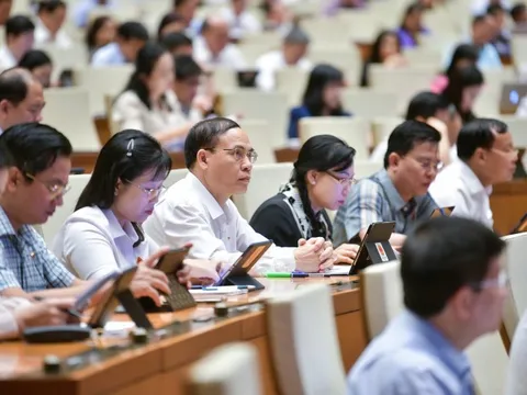 Đại biểu tranh luận về áp 5% thuế VAT đối với mặt hàng phân bón