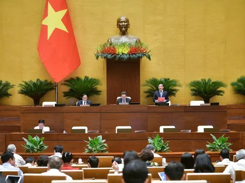 Quy định rõ hành vi mua bán thai nhi trong Luật Phòng, chống mua bán người