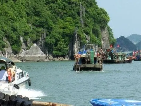 Quảng Ninh: Thu giữ 7 thuyền đò neo đậu trái phép trên vịnh Hạ Long