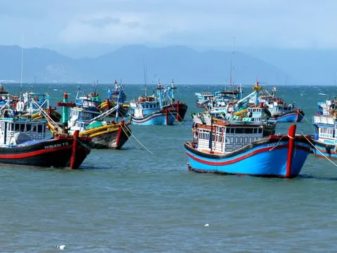 Quyết tâm cao gỡ cảnh báo "Thẻ vàng" IUU