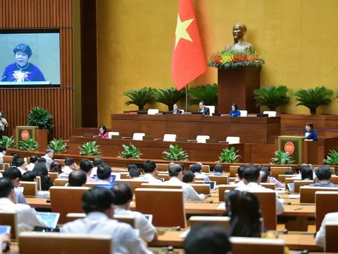 Sắp xếp vị trí việc làm thế nào khi lái xe trở thành... cử nhân luật?