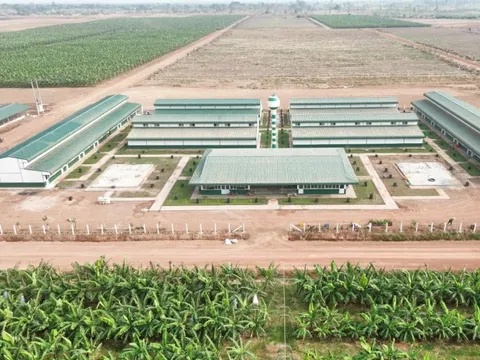THACO AGRI đẩy mạnh đầu tư và chăm lo đời sống người lao động