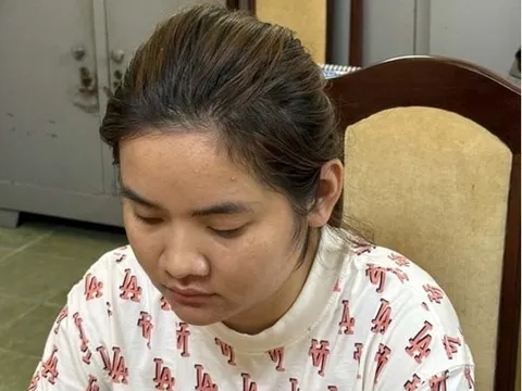 Bắt người phụ nữ lừa đảo mua bán đất chiếm đoạt 74 tỷ đồng