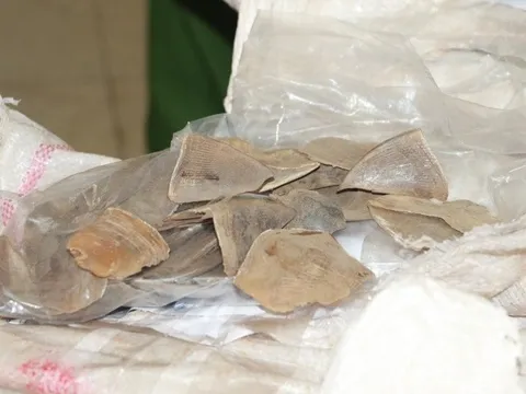 Lời khai của hai kẻ giấu hàng cấm gần 13 tỷ đồng trong ngăn bí mật