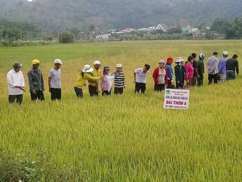 Tô đậm thêm tính nhân văn trên quê hương Lắk anh hùng
