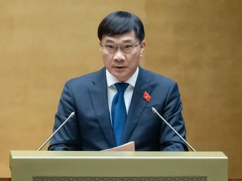 Người bỏ cọc đấu giá đất, khoáng sản có thể bị cấm đấu giá đến 5 năm