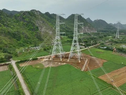 Dự án đường dây 500kV mạch 3 cung đoạn NMNĐ Nam Định 1 - Thanh Hóa sẵn sàng đóng điện