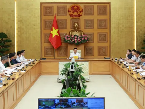 Đấu thầu thực hiện dự án đầu tư sử dụng đất: Phân nhóm kèm theo tiêu chí đánh giá riêng