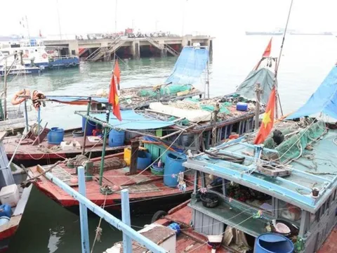 Quảng Ninh: Xử lý 49 tàu, thuyền vi phạm trên vịnh Hạ Long