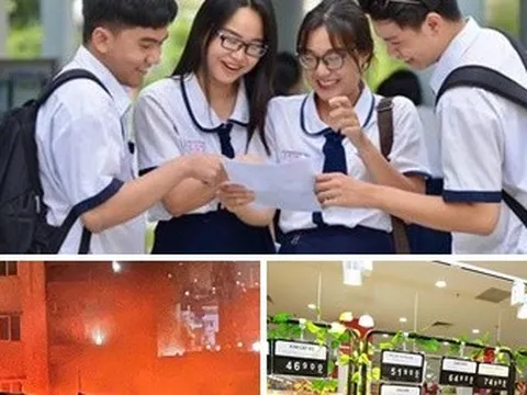 Chỉ đạo, điều hành của Chính phủ, Thủ tướng Chính phủ nổi bật tháng 6/2024