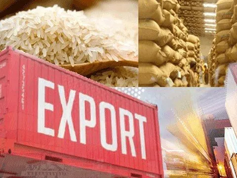 Việt Nam xuất siêu 11,63 tỷ USD trong 6 tháng đầu năm
