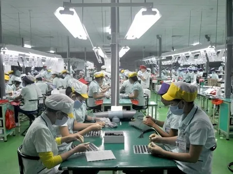 Rộng mở cơ hội hợp tác lao động Việt Nam – Hàn Quốc