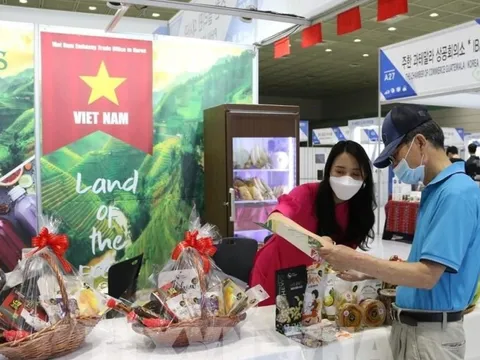 Hợp tác kinh tế Việt Nam - Hàn Quốc: Nâng tầm cả chất và lượng