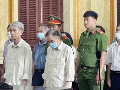 8 cựu lãnh đạo Tổng Công ty Địa ốc Sài Gòn - TNHH MTV hầu tòa