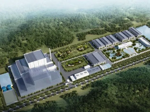 Bamboo Capital sắp phát hành 80 triệu cổ phiếu thưởng cho cổ đông