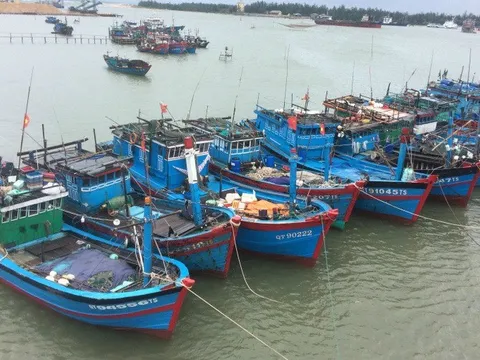 Quảng Trị: Tập trung giải quyết dứt điểm tàu cá '3 không'