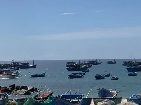 Tập trung mục tiêu giảm khai thác thủy sản