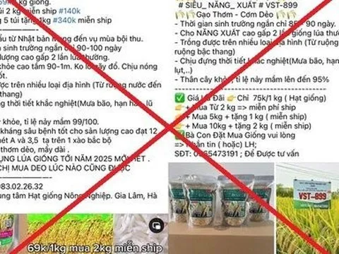 Bán thóc giống VST-899 giả trên mạng xã hội, 7 đối tượng bị khởi tố