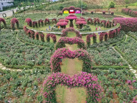 VÃ´ vÃ n tráº£i nghiá»m háº¥p dáº«n táº¡i Lá» há»i Hoa há»ng lá»n nháº¥t TÃ¢y Báº¯c dá»p lá» 30/4, 1/5