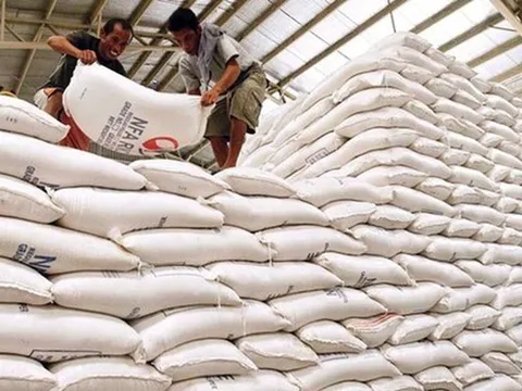 Đấu thầu mua gạo dự trữ quốc gia qua mạng, bảo đảm minh bạch, công bằng