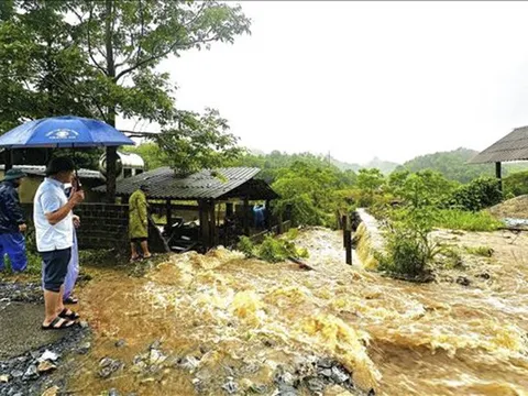 Thời tiết ngày 6/7: Tây Bắc Bộ mưa rào và dông rải rác