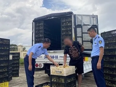 Quảng Ninh: Thu giữ hơn 20.000 con vịt giống không rõ nguồn gốc