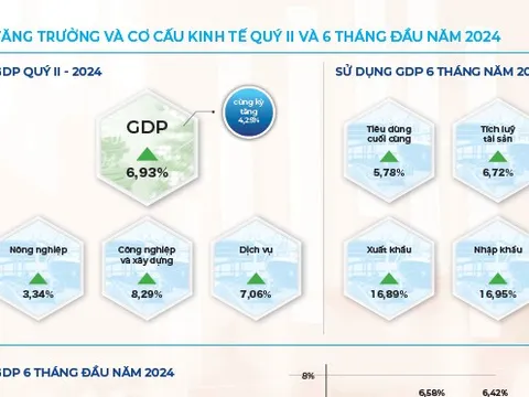 INFOGRAPHICS: Động lực chính của tăng trưởng 6 tháng đầu năm 2024
