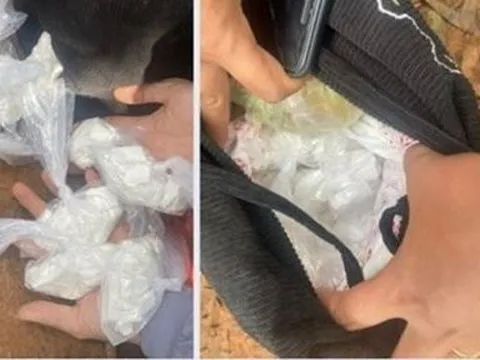 Đắk Nông: Cặp vợ chồng đưa nhau vào tù vì mua ma túy về bán kiếm lời