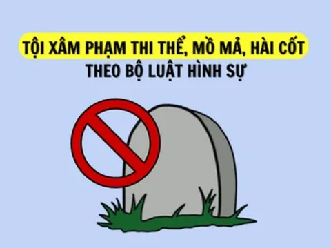 Án Tây-Luật Ta: Cú lừa ngoạn mục của 2 “bà nội trợ” Mỹ