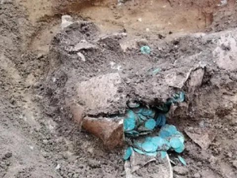 Cày ruộng, anh nông dân bất ngờ phát hiện “thứ có giá trị khủng”