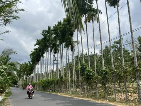 Bến Tre có thêm 13 xã đạt chuẩn nông thôn mới, nông thôn mới nâng cao, nông thôn mới kiểu mẫu