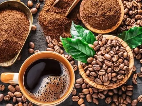 Giá cà phê Robusta thiết lập đỉnh lịch sử mới