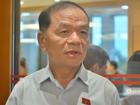 Đồng ý khởi tố, bắt tạm giam, tạm đình chỉ nhiệm vụ ĐBQH Lê Thanh Vân