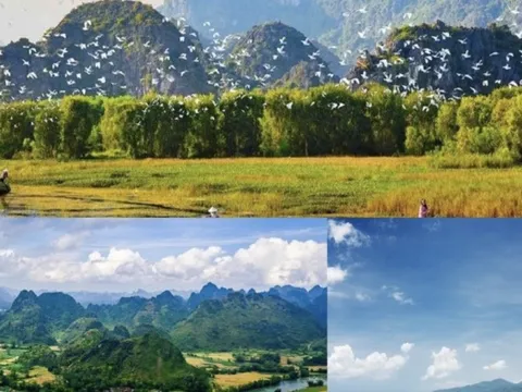 Quốc hội thành lập Đoàn giám sát chuyên đề về bảo vệ môi trường
