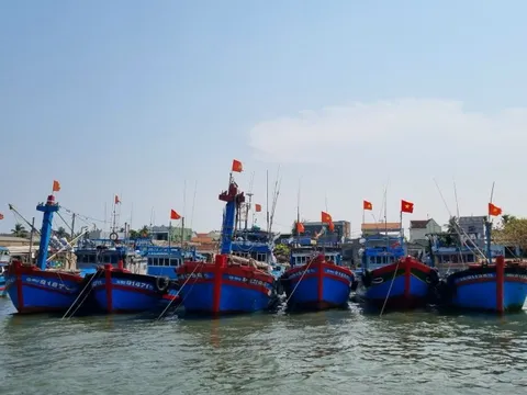 Quảng Ngãi tăng cường giám sát tàu cá vùng khơi