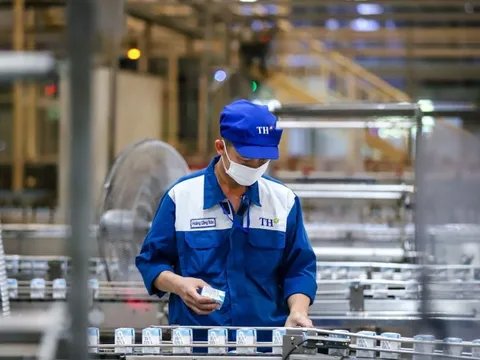 Khát vọng của thương hiệu làm thay đổi bản chất ngành sữa Việt